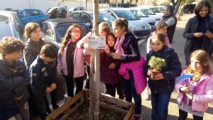 1 festa degli alberi 2018